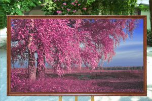 rung-cay-tl2045-kt07-chat-luong-cao-mau-sac-net-ben-dep-phong-khach-sang-trong-phong-ngu-khung-tranh-van-go-5cm-wood-frame